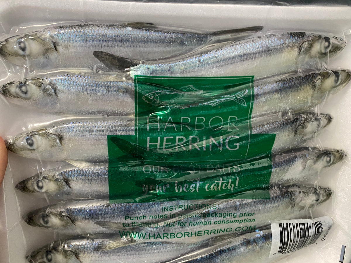 Jerry's Vacuum Packed Green Label Herring - Frozen Bait 