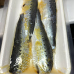 Sardine fillets